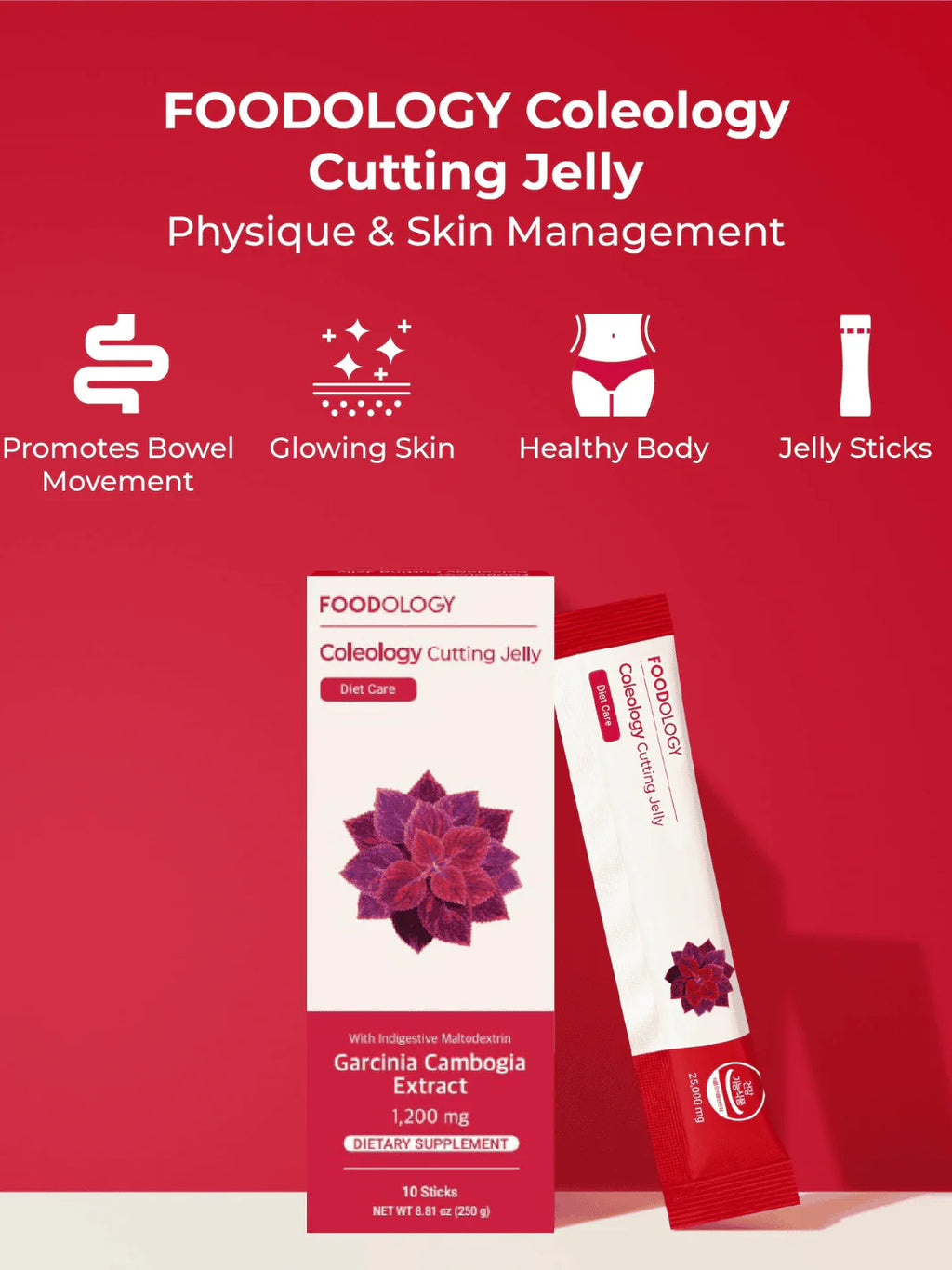 Glow & Go - Coleology Cutting Jelly Sticks
