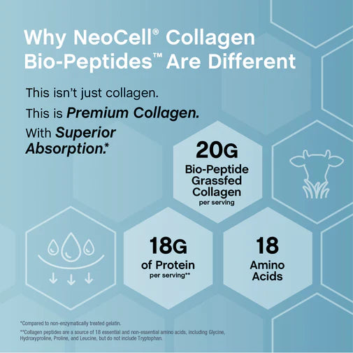 Grassfed Collagen Bio-Peptides Protein Powder