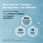 Grassfed Collagen Bio-Peptides Protein Powder